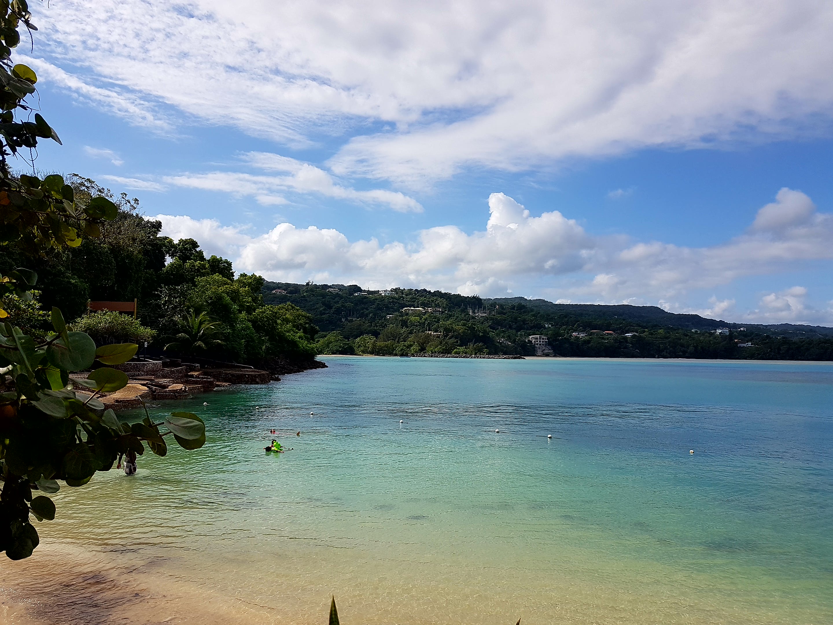 Thomas&Co - Медицинское качество. - Бодибилдинг форум AnabolicShops