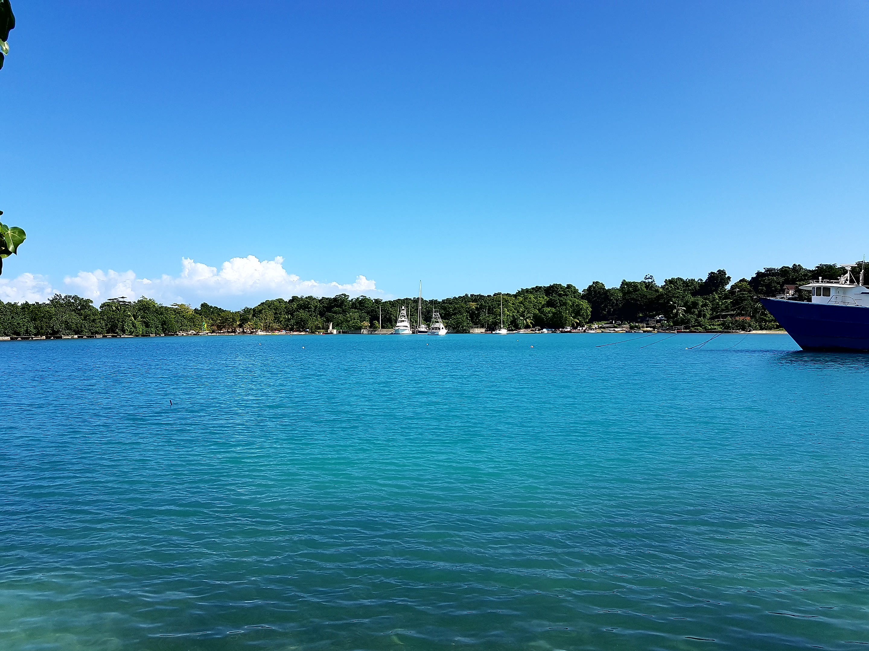 Thomas&Co - Медицинское качество. - Бодибилдинг форум AnabolicShops