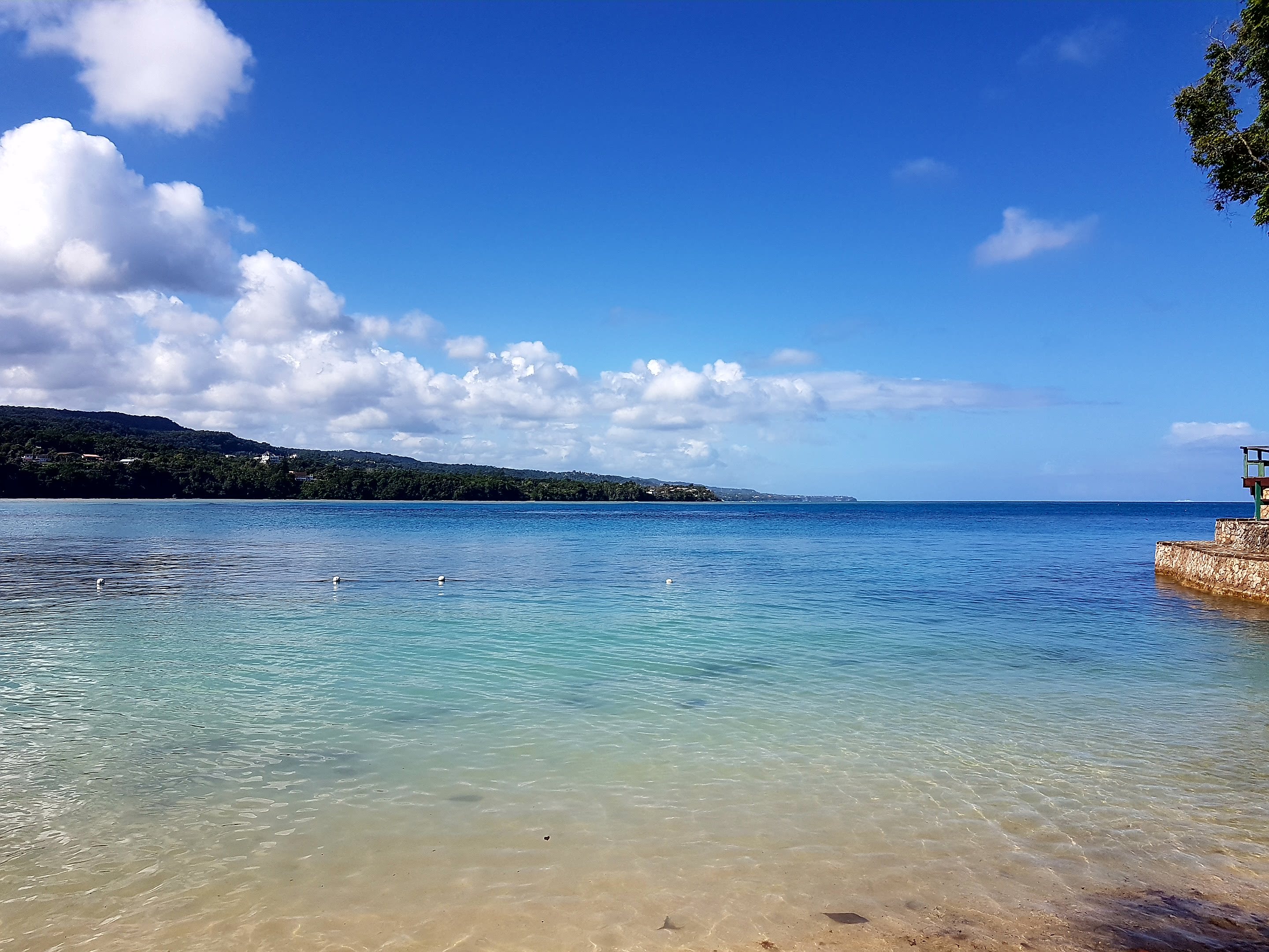 Thomas&Co - Медицинское качество. - Бодибилдинг форум AnabolicShops