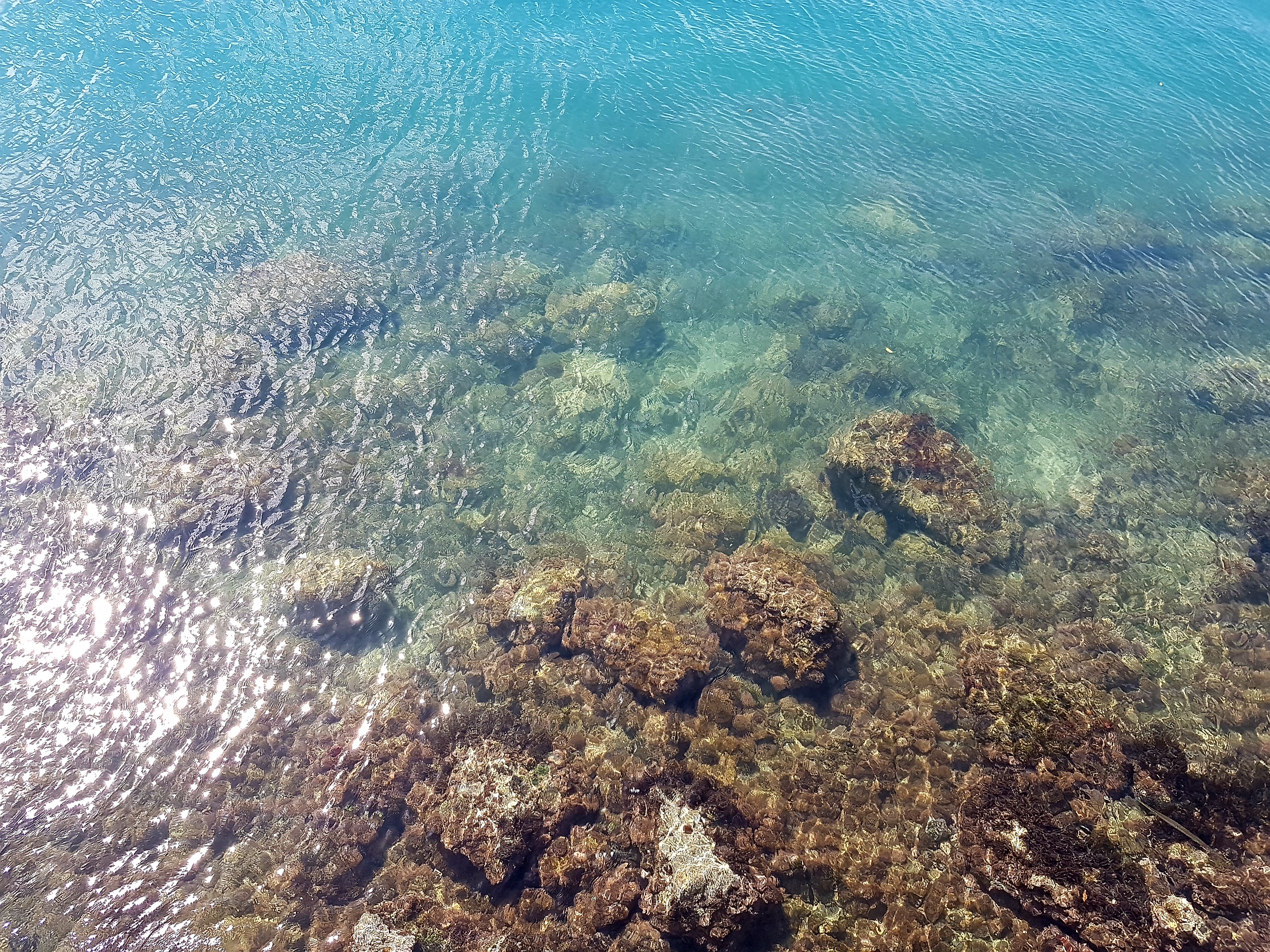 Thomas&Co - Медицинское качество. - Бодибилдинг форум AnabolicShops