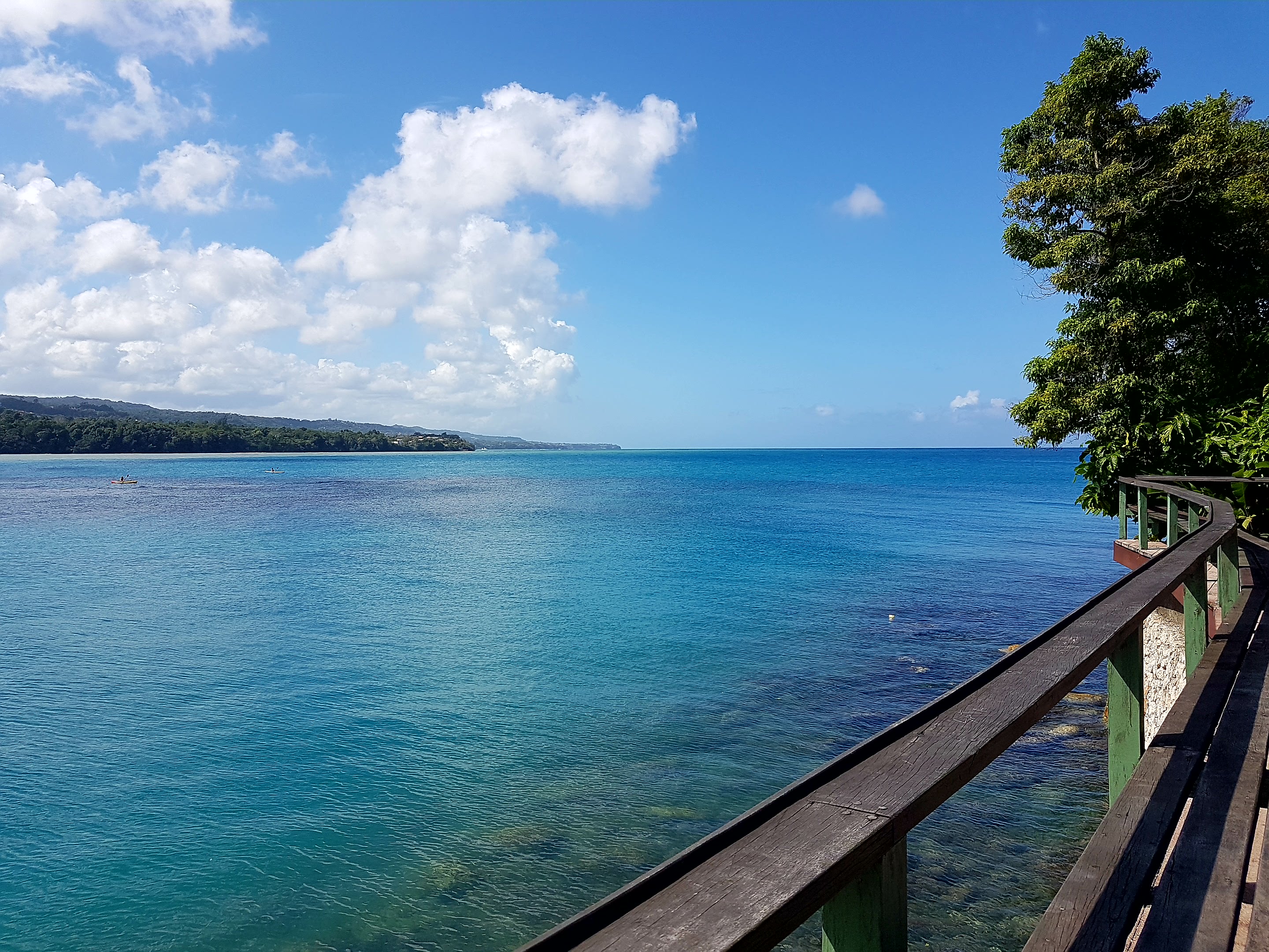 Thomas&Co - Медицинское качество. - Бодибилдинг форум AnabolicShops