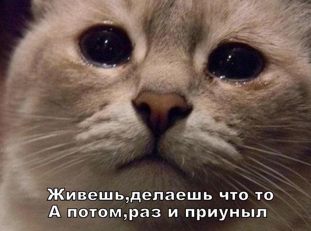 Робыч.... - Бодибилдинг форум AnabolicShops