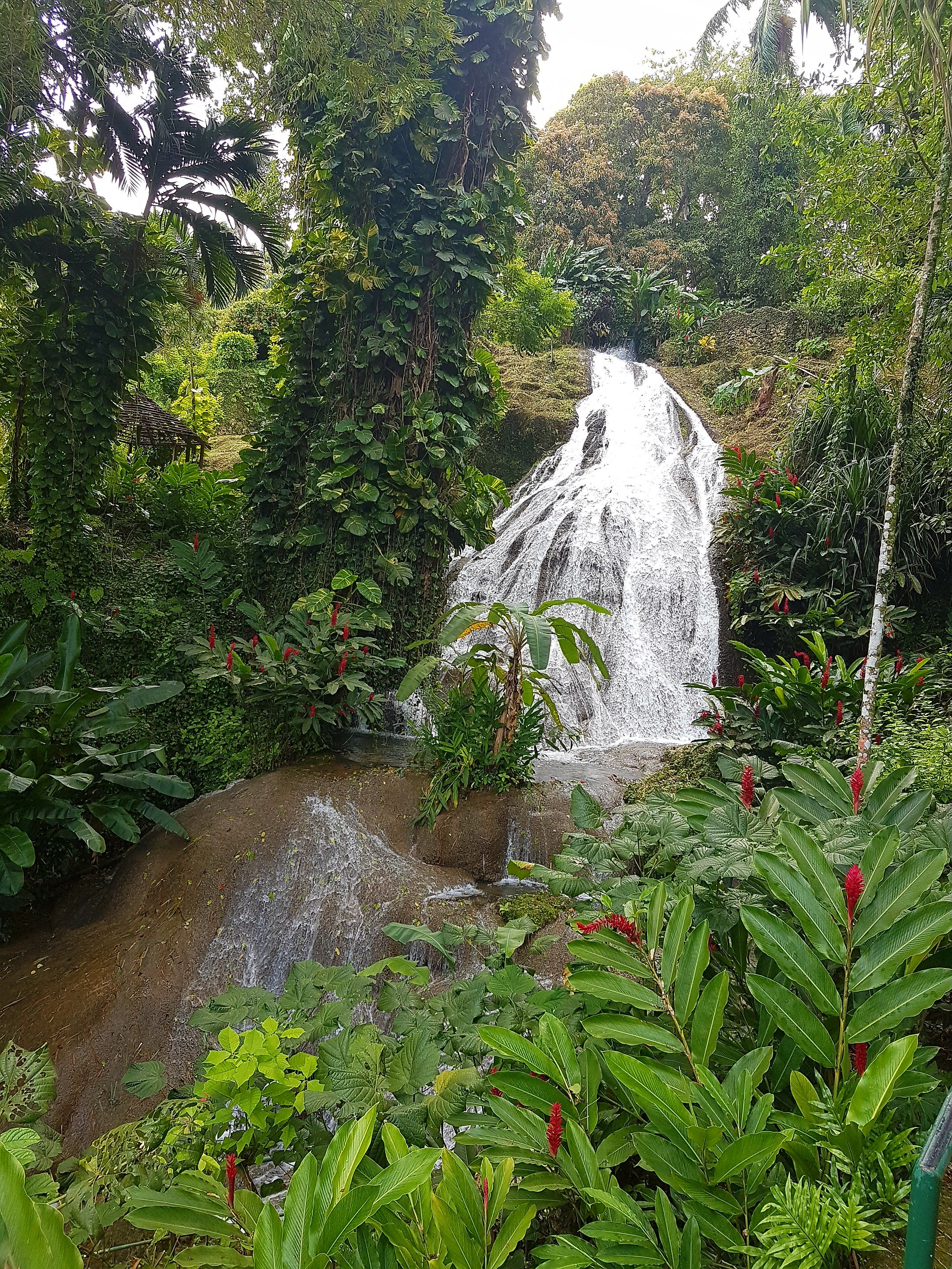 Thomas&Co - Медицинское качество. - Бодибилдинг форум AnabolicShops