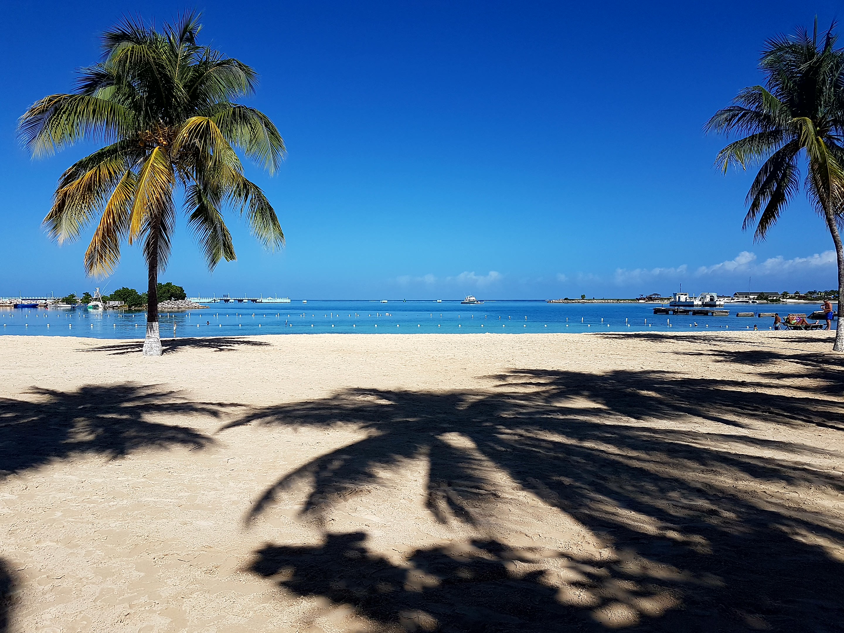 Thomas&Co - Медицинское качество. - Бодибилдинг форум AnabolicShops