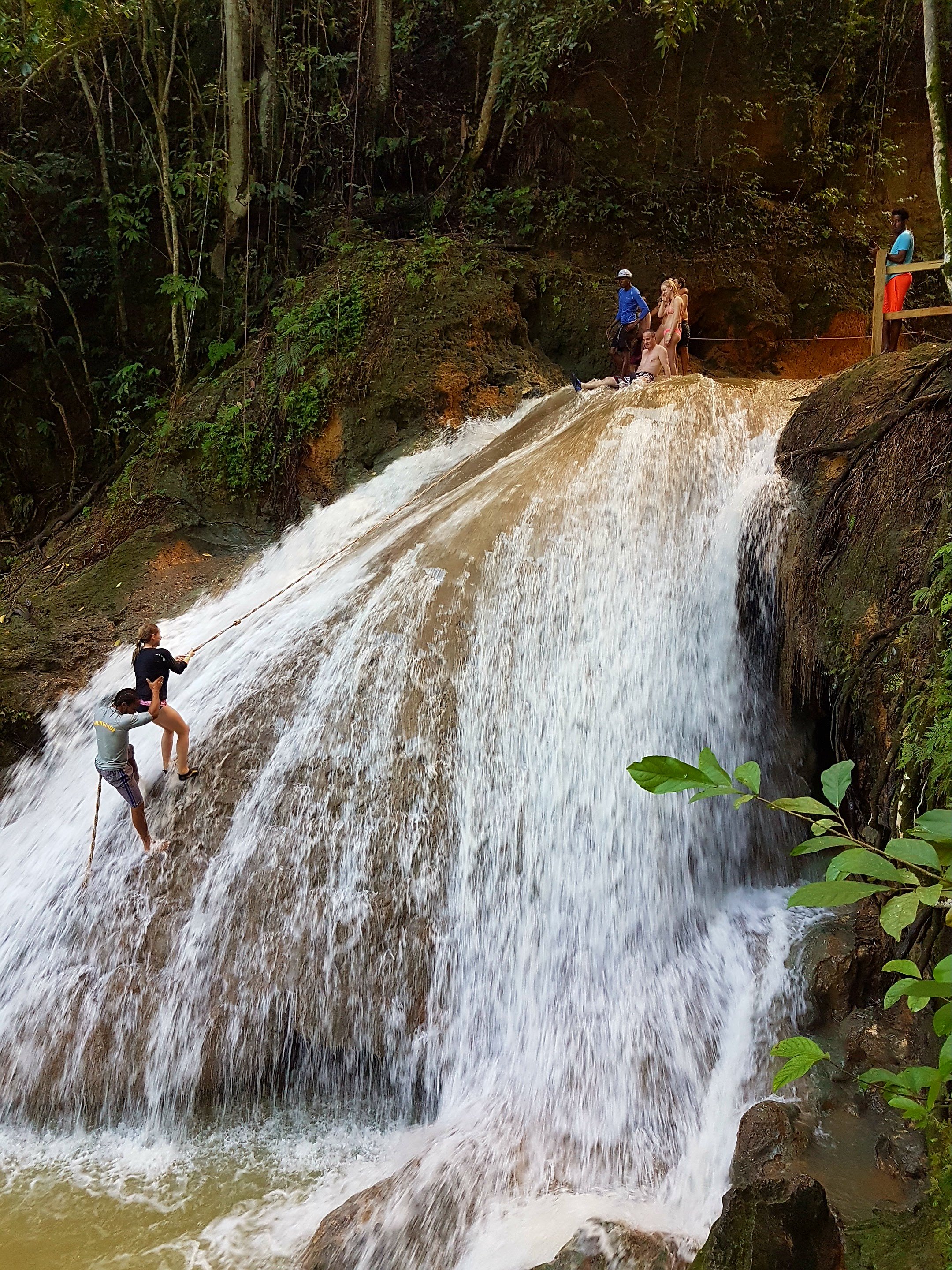 Thomas&Co - Медицинское качество. - Бодибилдинг форум AnabolicShops