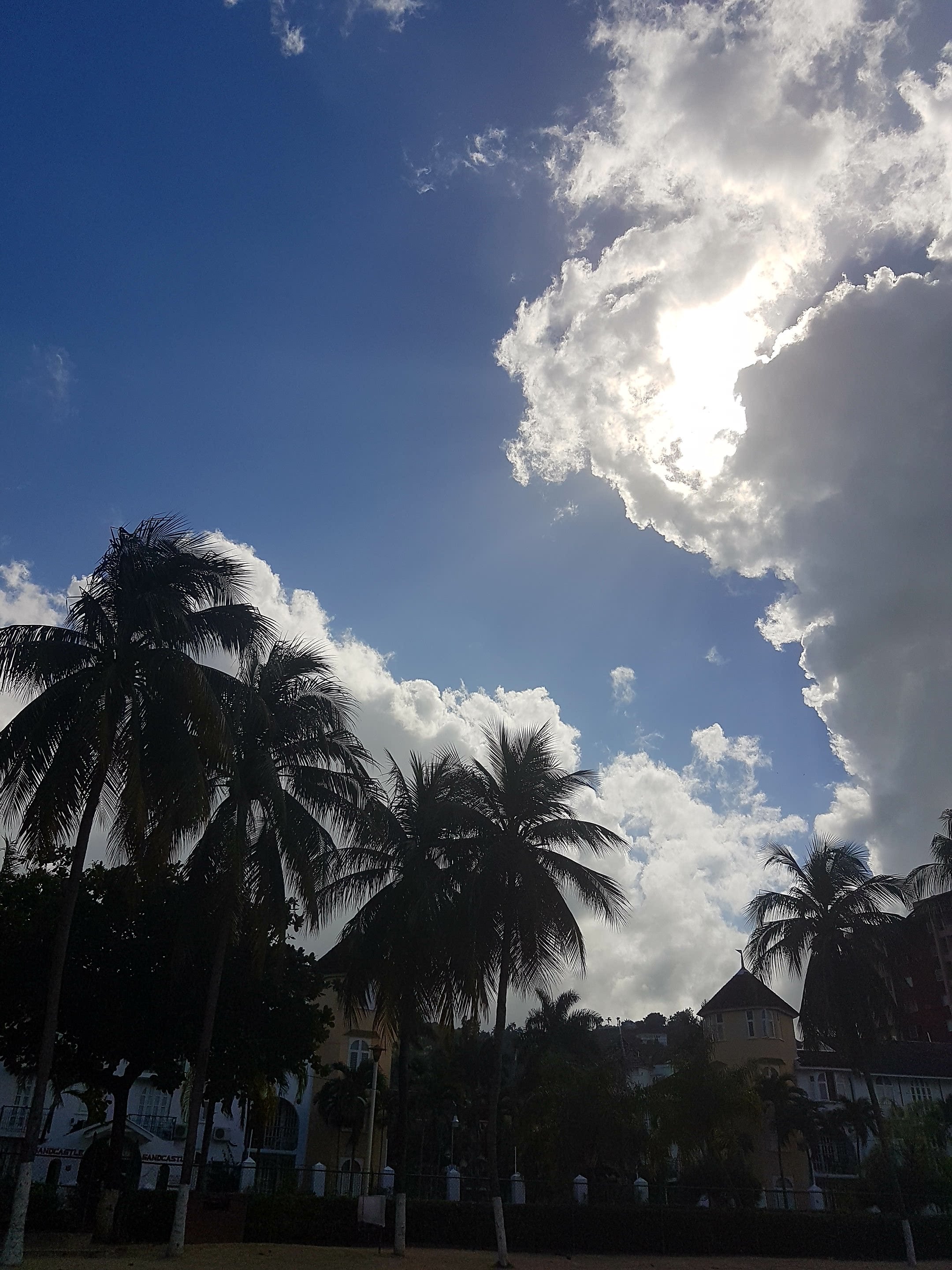 Thomas&Co - Медицинское качество. - Бодибилдинг форум AnabolicShops