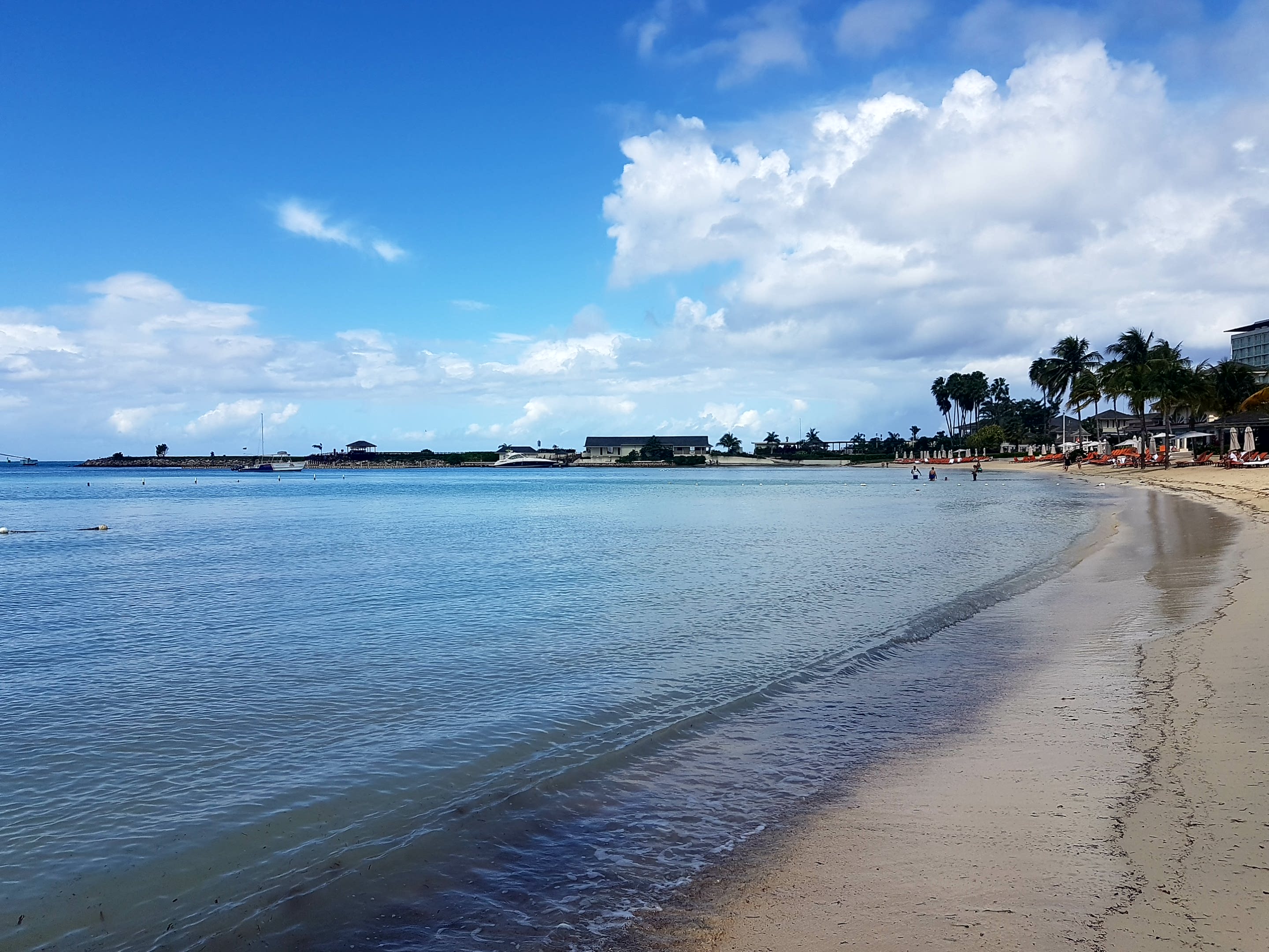 Thomas&Co - Медицинское качество. - Бодибилдинг форум AnabolicShops