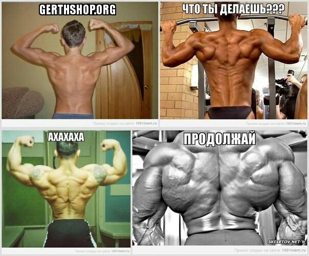 GerthShop.la - магазин спортивной фармакологии N1! - Бодибилдинг форум AnabolicShops