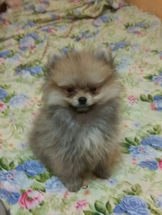 ХимЗавод №7  TEAM -  Битва производителей. - Бодибилдинг форум AnabolicShops