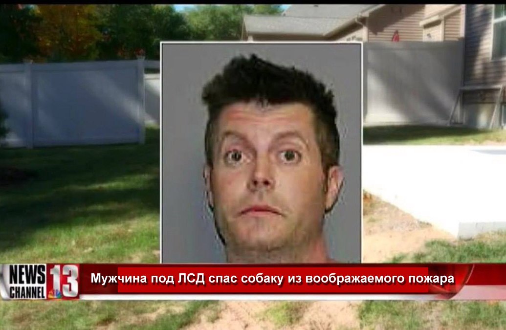 Fruitlabs.org   Всегда отличные цены, отменное качество и быстрые отправки ! - Бодибилдинг форум AnabolicShops