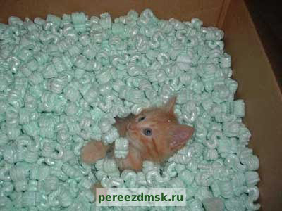 Клуб АНОНИМНЫХ пиздунов. - Бодибилдинг форум AnabolicShops