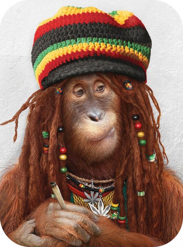 Thomas&Co - Медицинское качество. - Бодибилдинг форум AnabolicShops