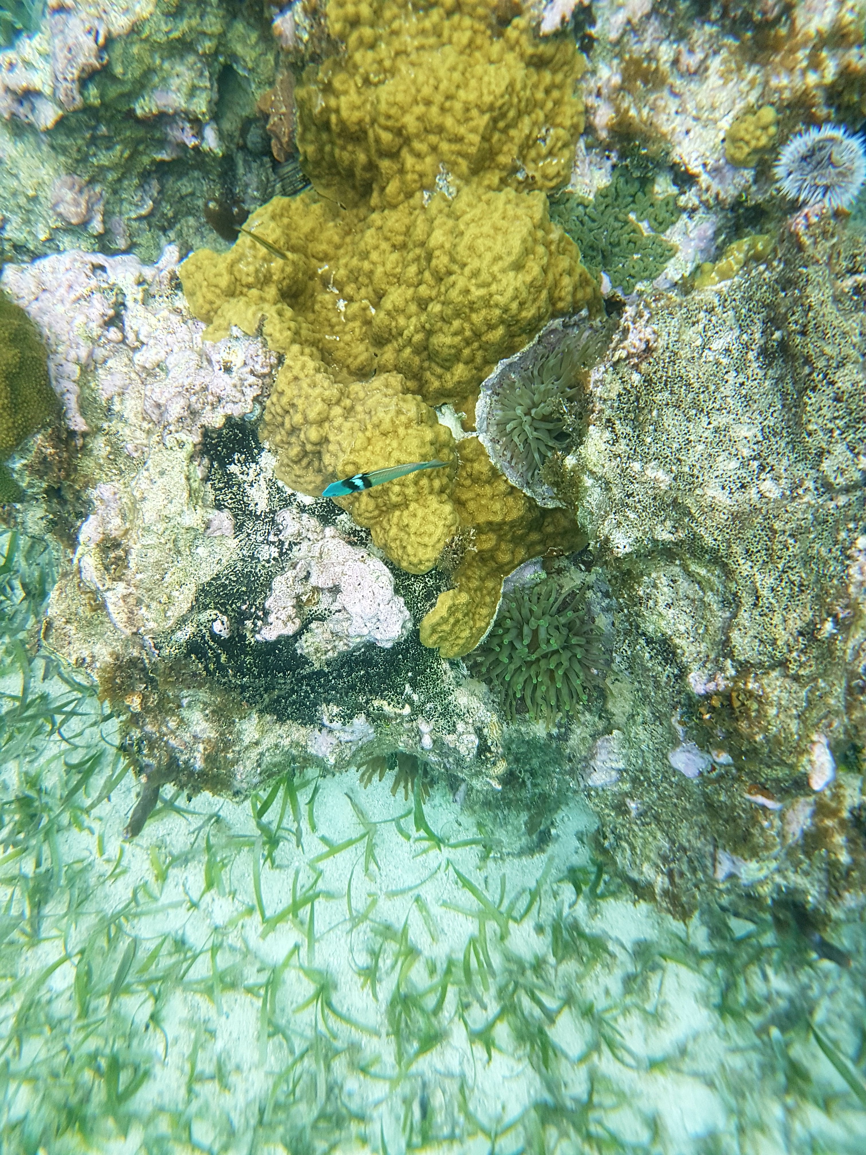 Thomas&Co - Медицинское качество. - Бодибилдинг форум AnabolicShops