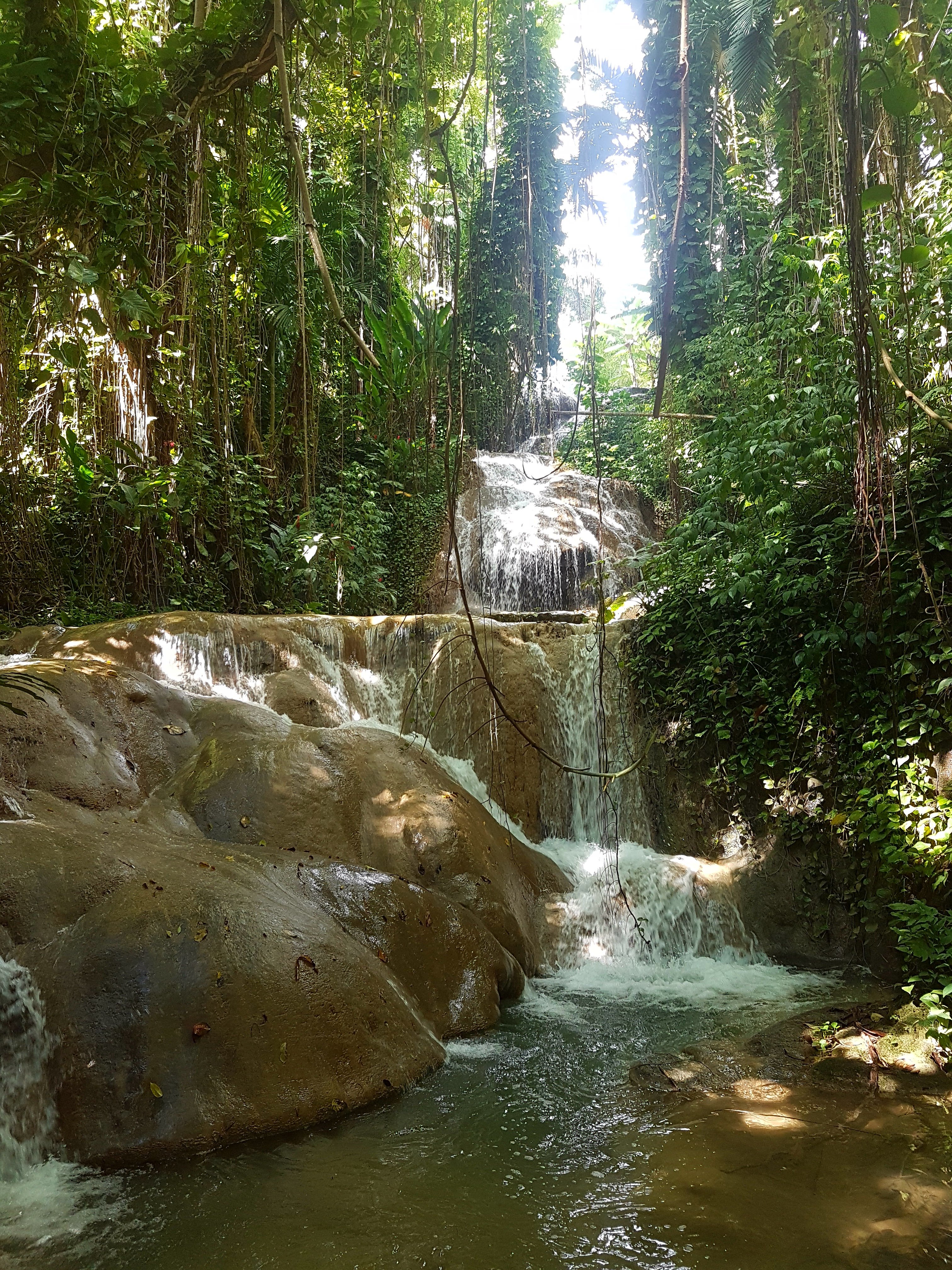 Thomas&Co - Медицинское качество. - Бодибилдинг форум AnabolicShops