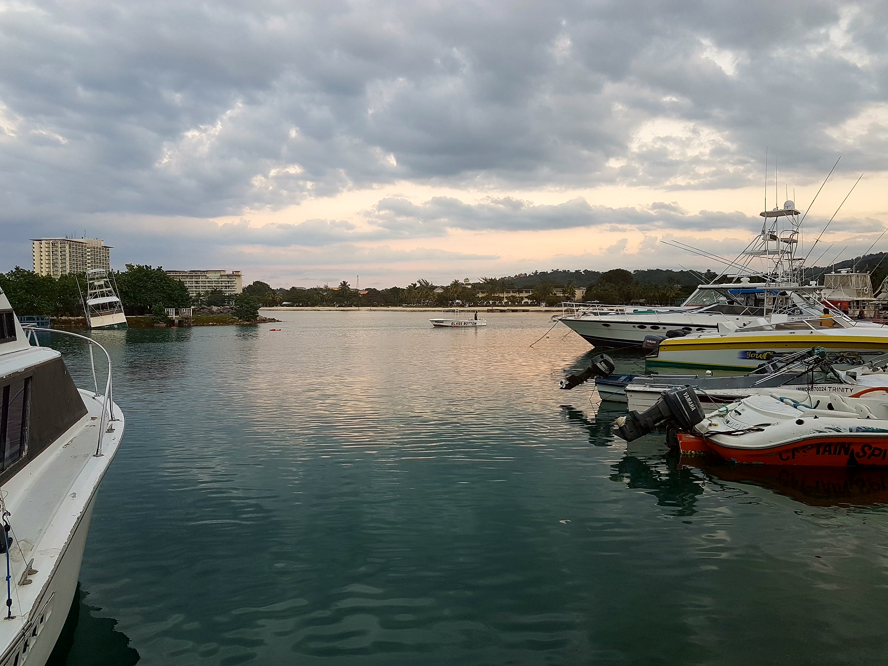 Thomas&Co - Медицинское качество. - Бодибилдинг форум AnabolicShops