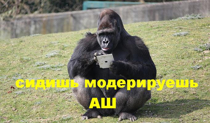 Конкурс "Битва анаболических Мемов!" - Бодибилдинг форум AnabolicShops