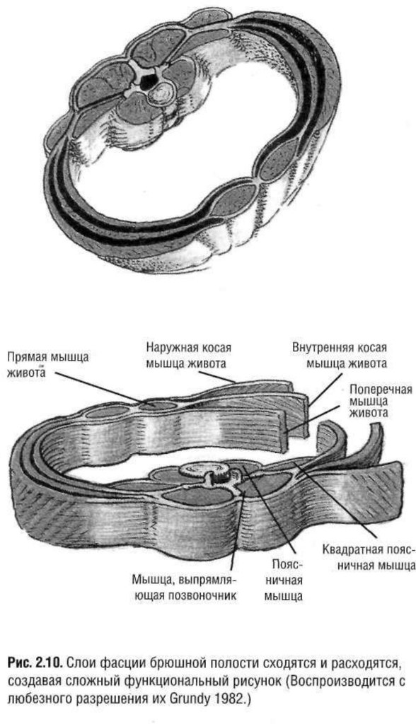 Любимое упражнение на пресс. - Бодибилдинг форум AnabolicShops