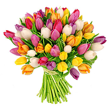 Amazonka's life - Бодибилдинг форум AnabolicShops