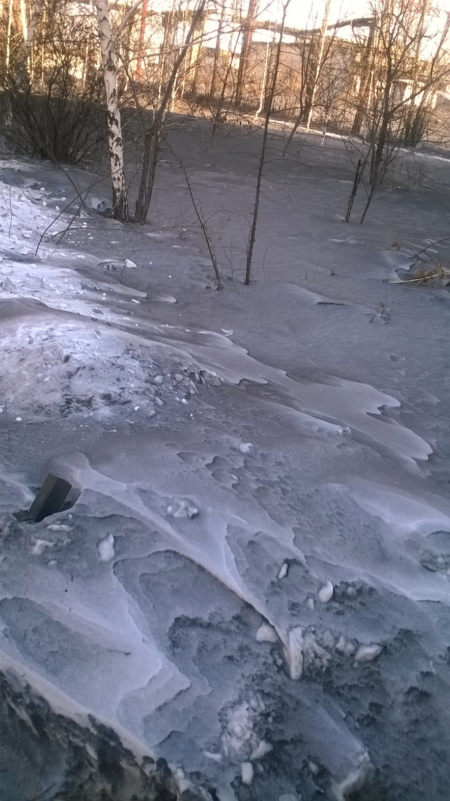 Курилка- разговоры на любые темы - Бодибилдинг форум AnabolicShops