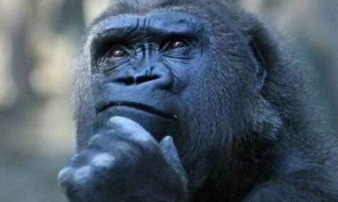 Mita-pharma. - Бодибилдинг форум AnabolicShops