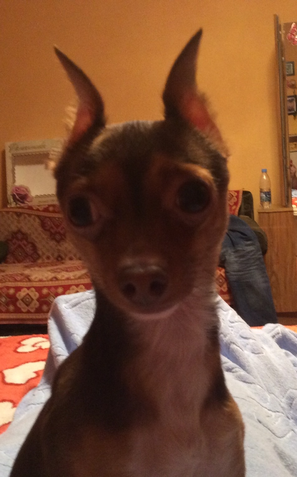 ПРОДАЖИ ОСТАНОВЛЕНЫ, ЗАКАЗЫ НЕ ДЕЛАТЬ!!! - Бодибилдинг форум AnabolicShops