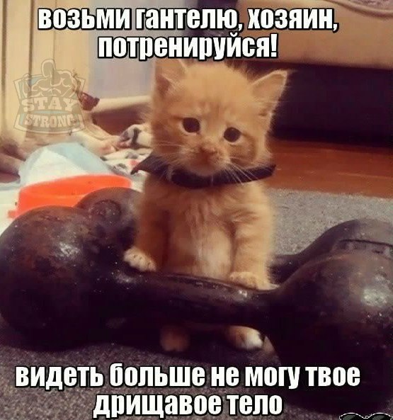 Thomas&Co - Медицинское качество. - Бодибилдинг форум AnabolicShops