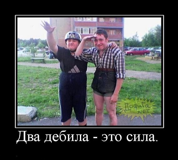 Pestabolicum проект Обезьяны и Собаки. - Бодибилдинг форум AnabolicShops