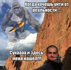 Конкурс "Битва анаболических Мемов!" - Бодибилдинг форум AnabolicShops