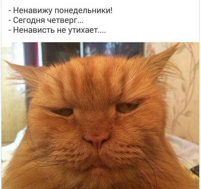 Курилка- разговоры на любые темы - Бодибилдинг форум AnabolicShops