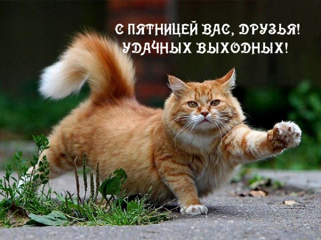 ЕШЬ ТВОРОГ ЖМИ 340 - Бодибилдинг форум AnabolicShops