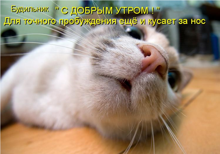 ЕШЬ ТВОРОГ ЖМИ 340 - Бодибилдинг форум AnabolicShops