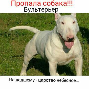 Курилка- разговоры на любые темы - Бодибилдинг форум AnabolicShops