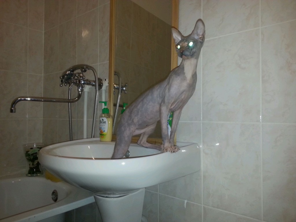 Курилка- разговоры на любые темы - Бодибилдинг форум AnabolicShops