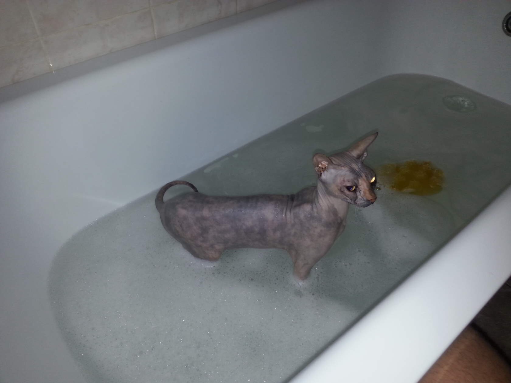 Курилка- разговоры на любые темы - Бодибилдинг форум AnabolicShops