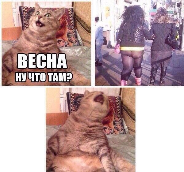 Анекдоты обо всем - Бодибилдинг форум AnabolicShops