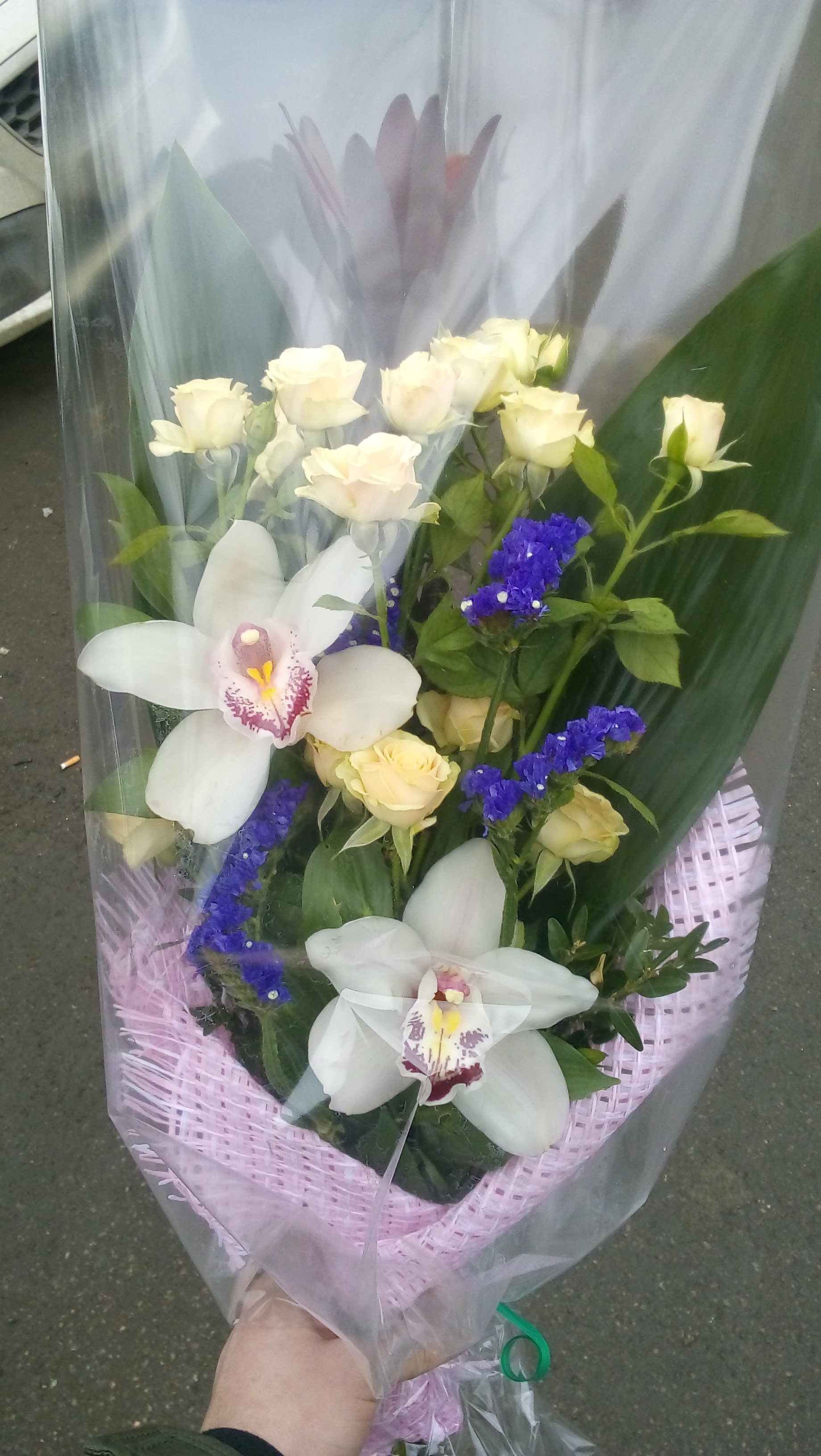 Natysik)) - Бодибилдинг форум AnabolicShops