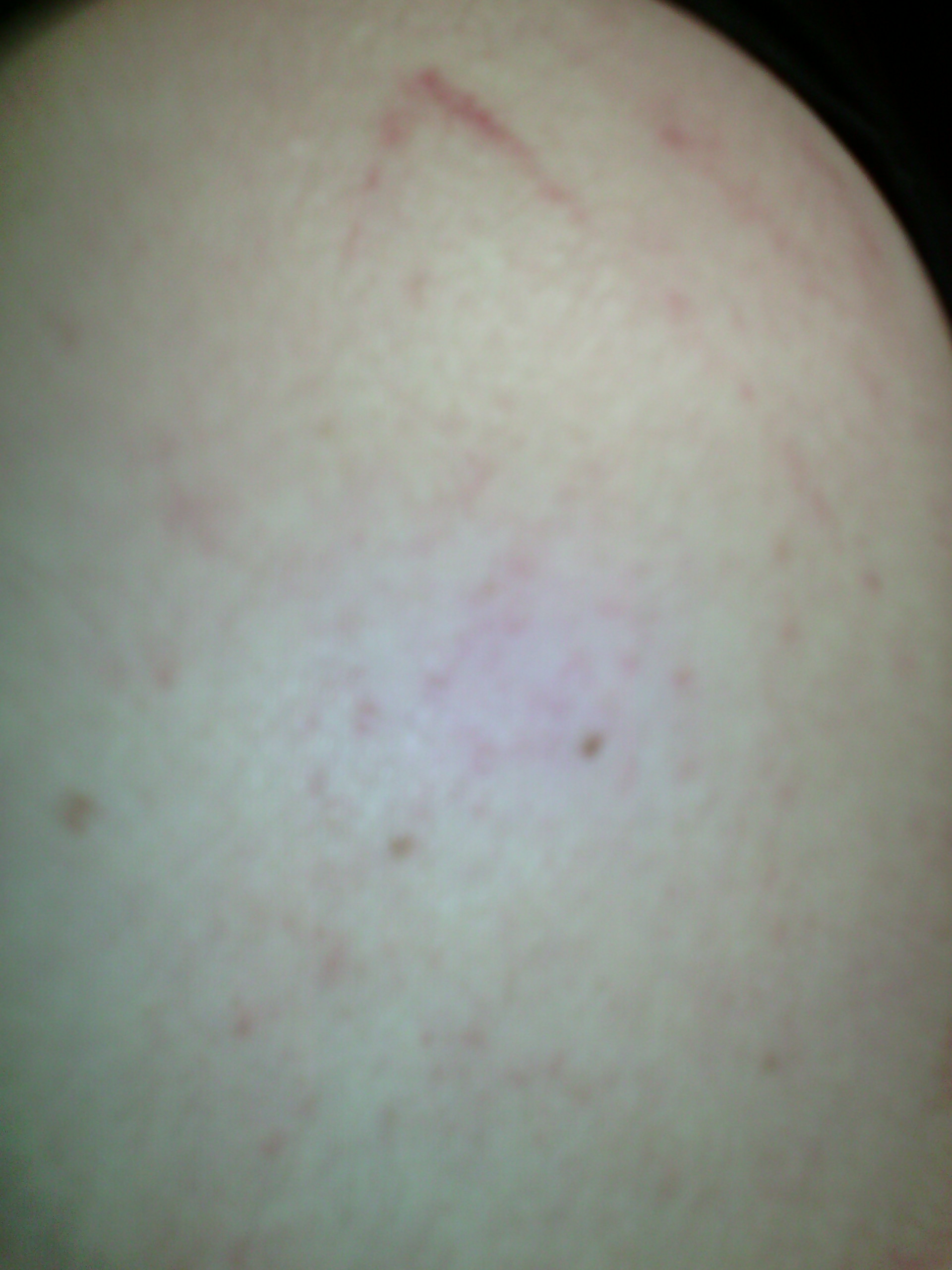 Курилка- разговоры на любые темы - Бодибилдинг форум AnabolicShops