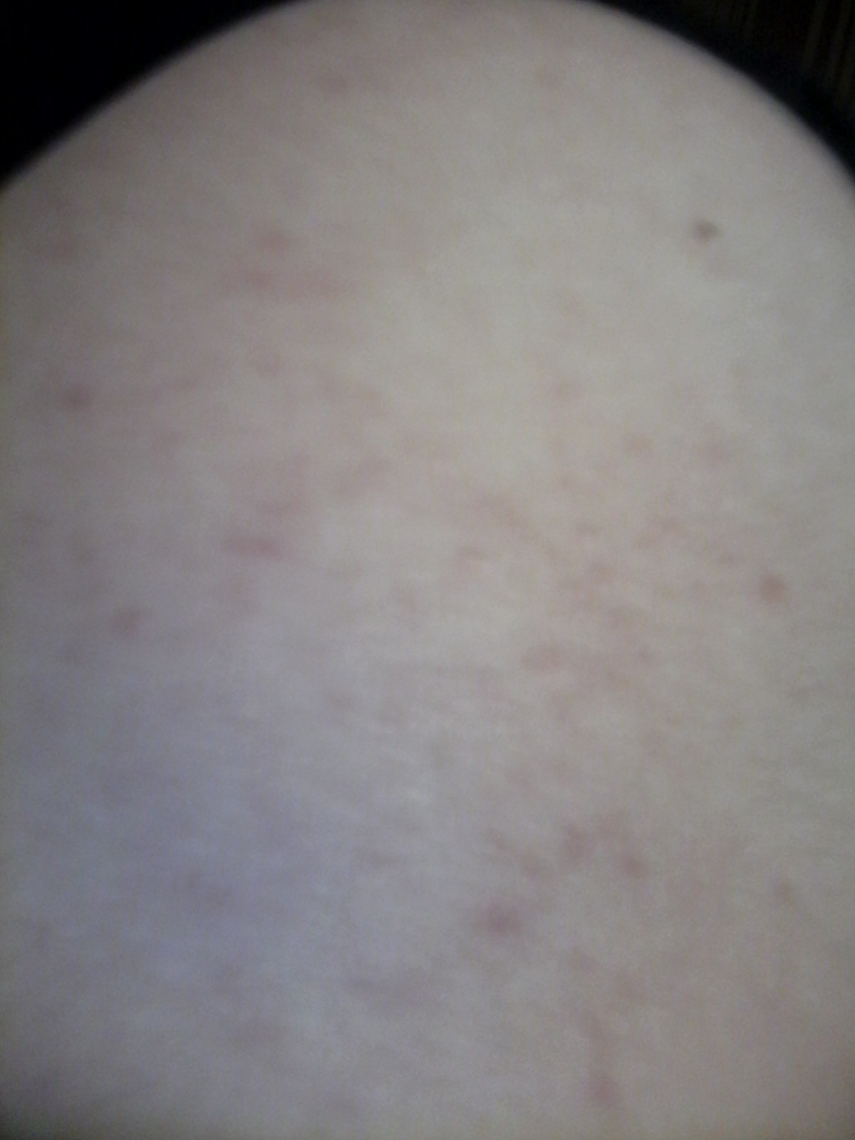 Курилка- разговоры на любые темы - Бодибилдинг форум AnabolicShops