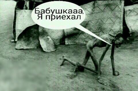 второй курс, нужен совет. оксана + болд - Бодибилдинг форум AnabolicShops