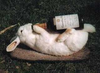 История болезни - Бодибилдинг форум AnabolicShops