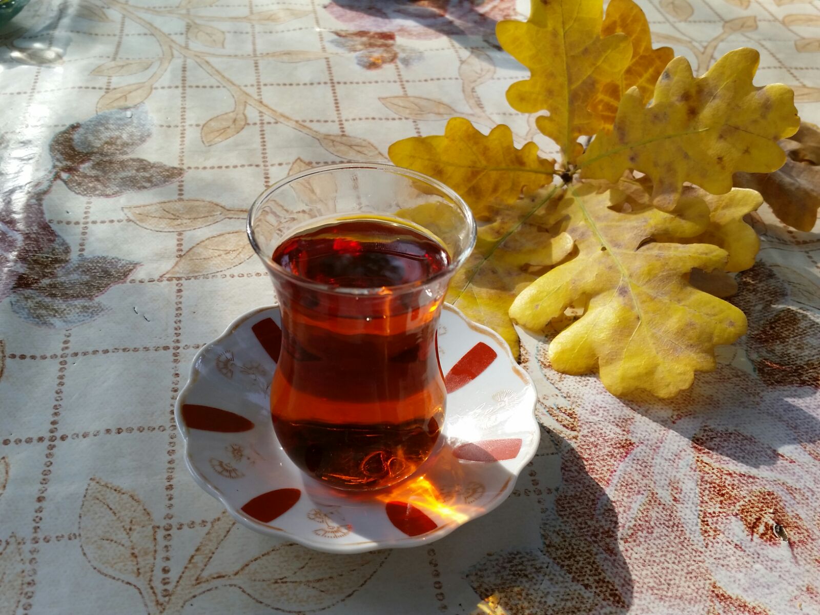 Магазинчик Чая - Бодибилдинг форум AnabolicShops