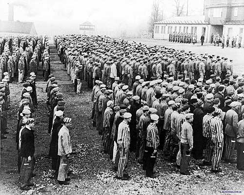 Эволюция человека - Бодибилдинг форум AnabolicShops