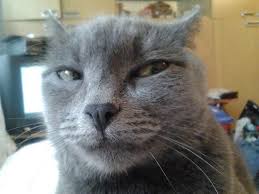 Магазин Фрэнка. Pharmacom Labs Official. Марка №1 в Мире! - Бодибилдинг форум AnabolicShops