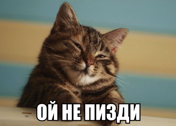 Курилка- разговоры на любые темы - Бодибилдинг форум AnabolicShops