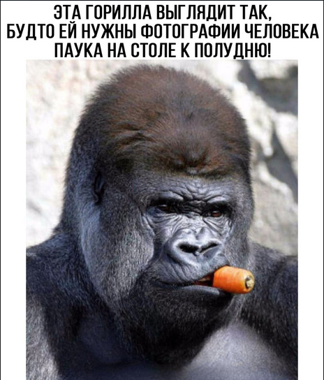 IApply™ Пляжный сезон - Бодибилдинг форум AnabolicShops