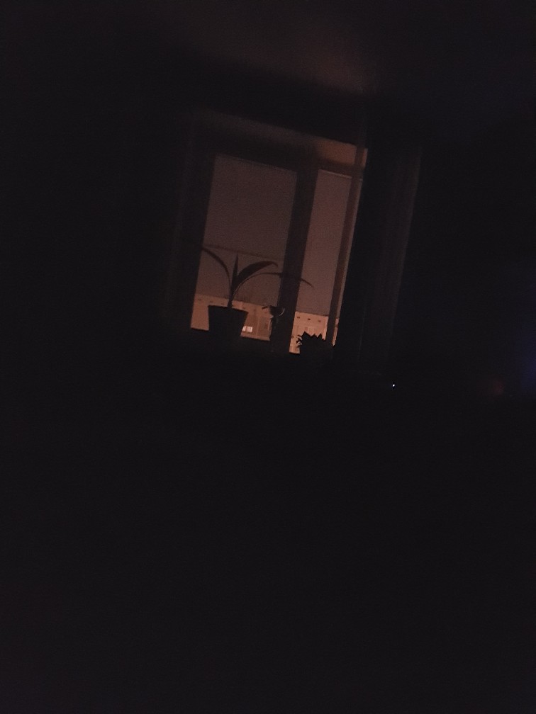 IApply™ Пляжный сезон - Бодибилдинг форум AnabolicShops