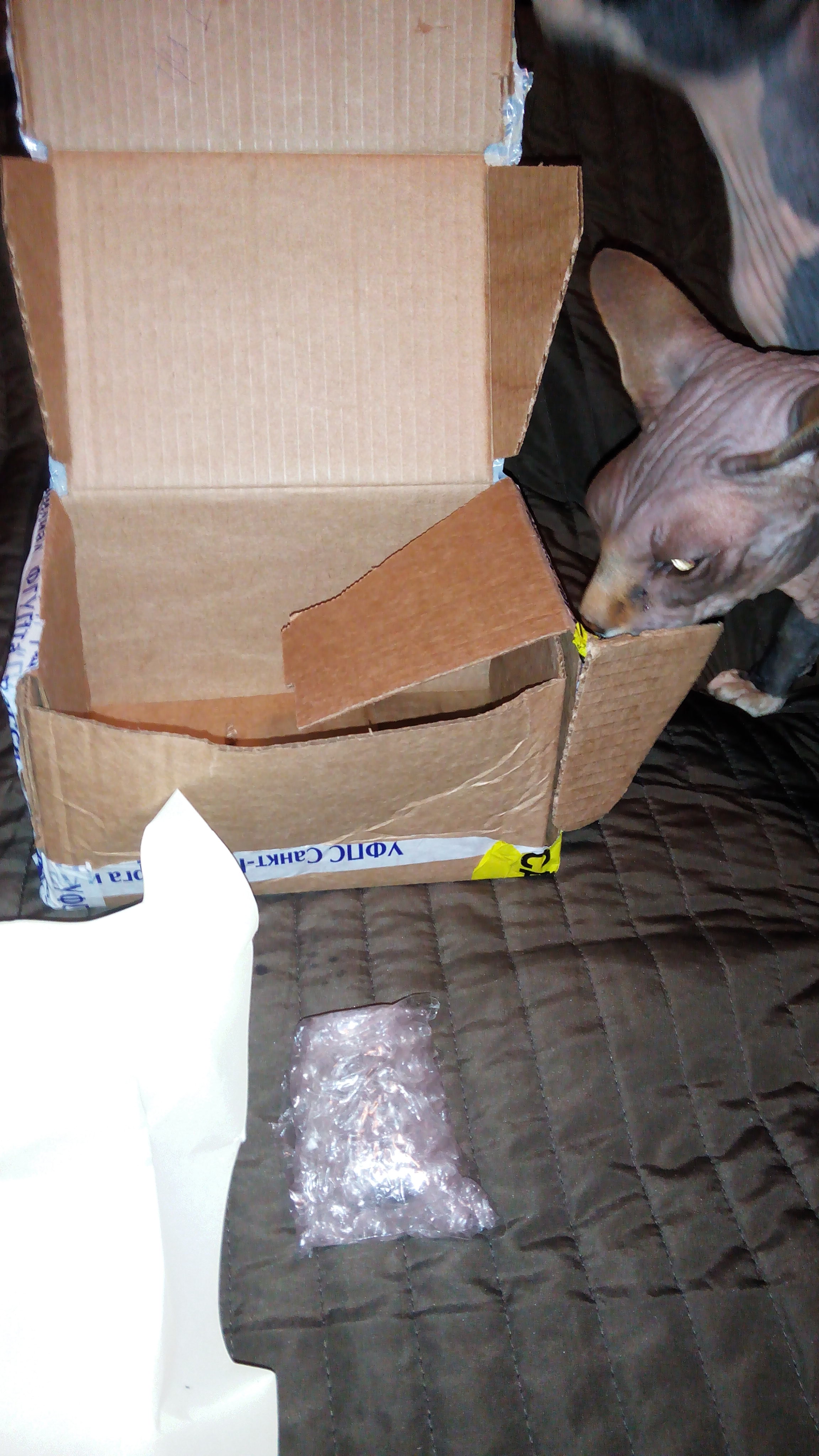 Thomas&Co - Медицинское качество. - Бодибилдинг форум AnabolicShops