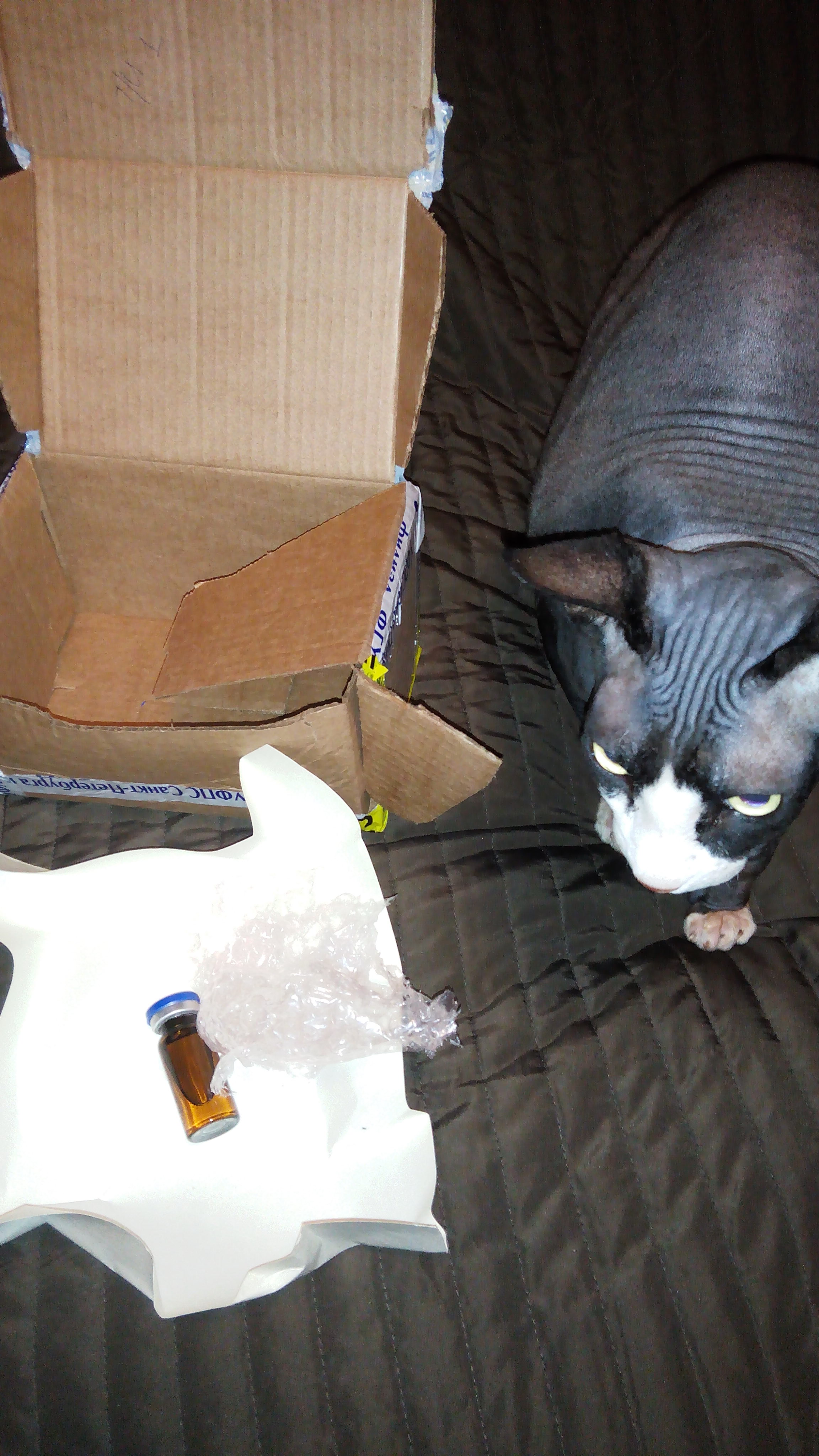 Thomas&Co - Медицинское качество. - Бодибилдинг форум AnabolicShops