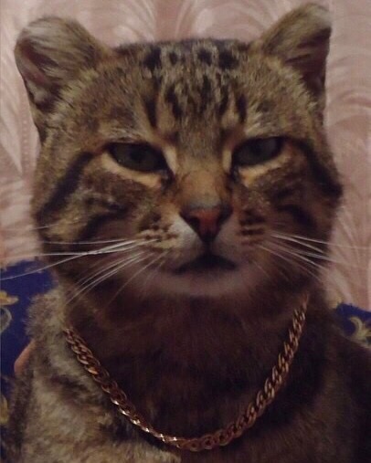 Mita-pharma. - Бодибилдинг форум AnabolicShops