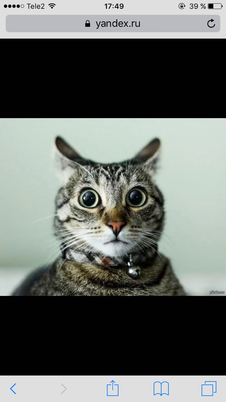 История болезни - Бодибилдинг форум AnabolicShops